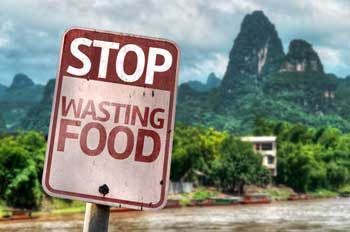 Food Waste