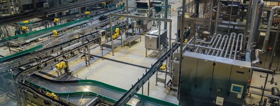 Food & Beverage Manufacturing