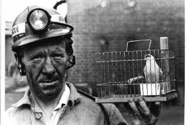Enact is Your Canary in a Coal Mine