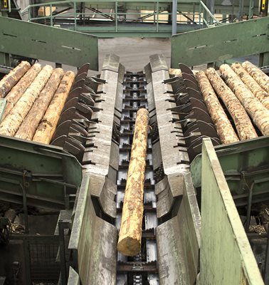 Lumber Processing