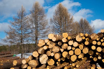 Raw Materials