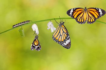 Transform manufacturing quality management with SPC techniques