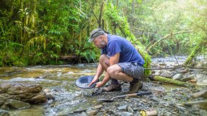 Panning for Gold Nuggets
